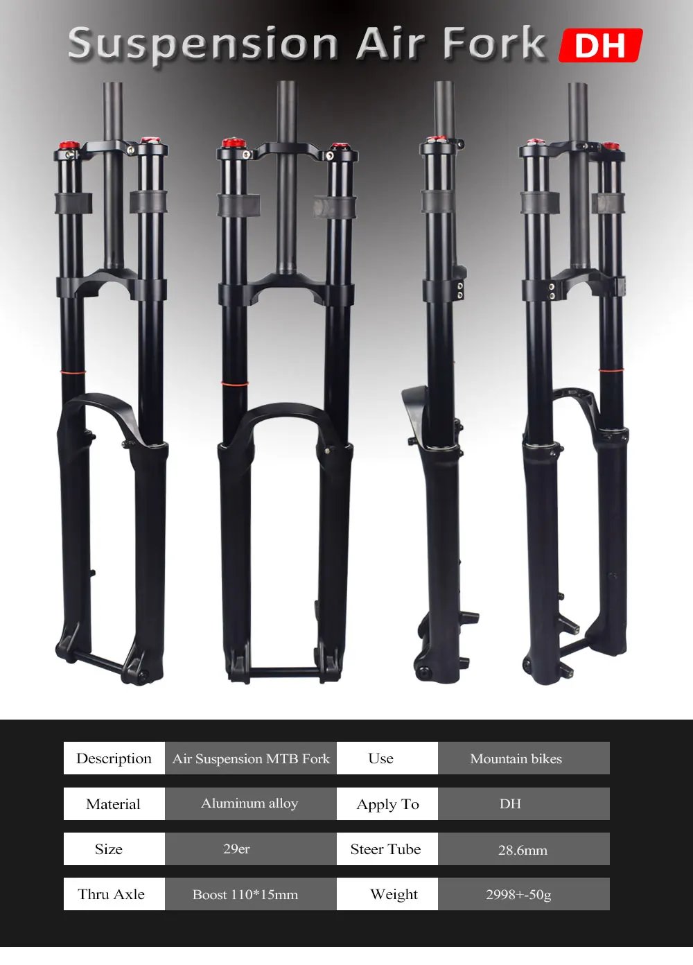 MTB Fork Air Suspension