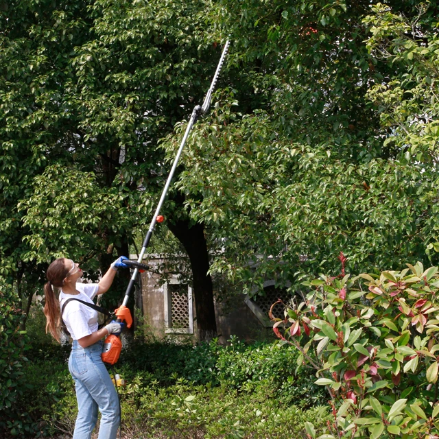 900W Rear motor Pole Hedge trimmer Garden tools machine