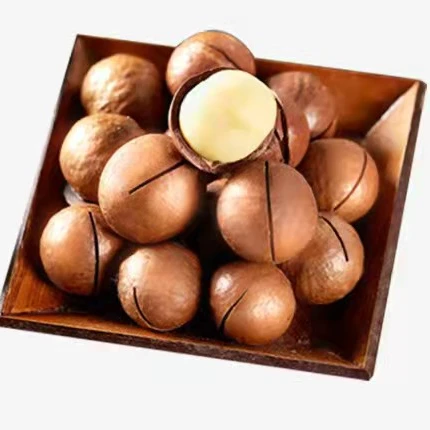 Орехи макадамии, сырые соленые жареные здоровые продукты макадамии в скорлупе