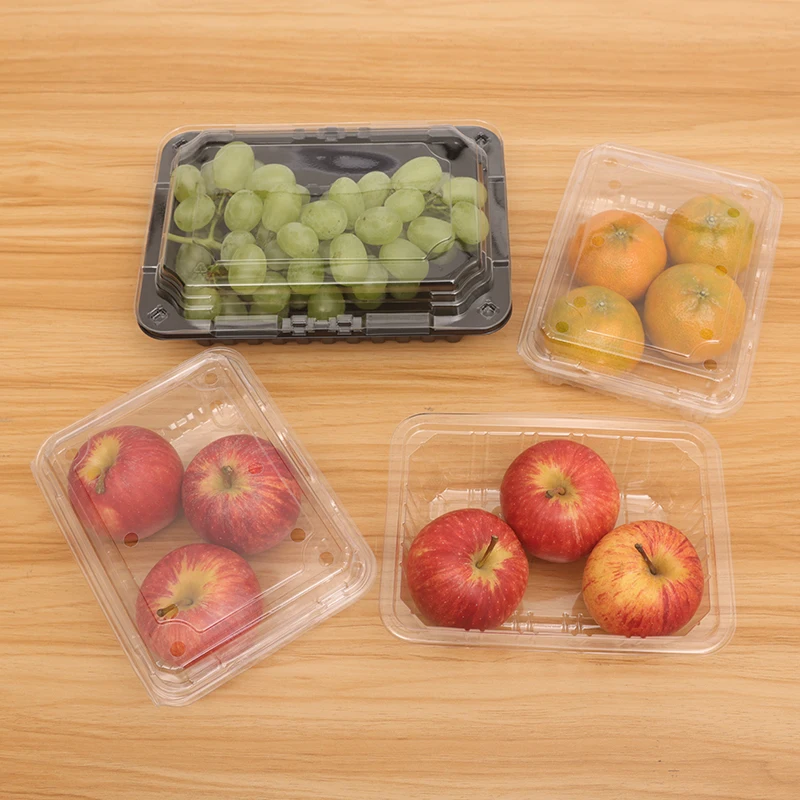 Wholesale transparent disposable fruit box food grade PET vegetable packaging box