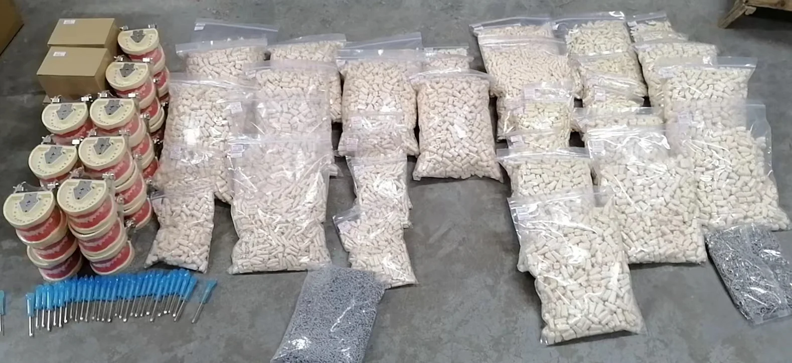 Typodont Dental Replacement Tooth Model for Student Practice 32 28