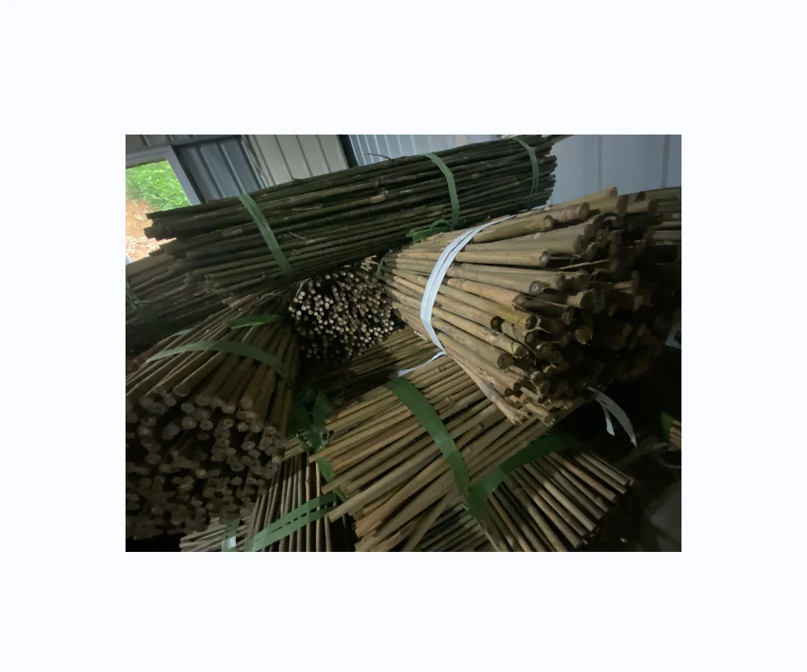High Quality Reusable And Good Price Bamboo Poles/ Raw Bamboo Pole Price/ Bamboo Poles Wholesale Made In Vietnam