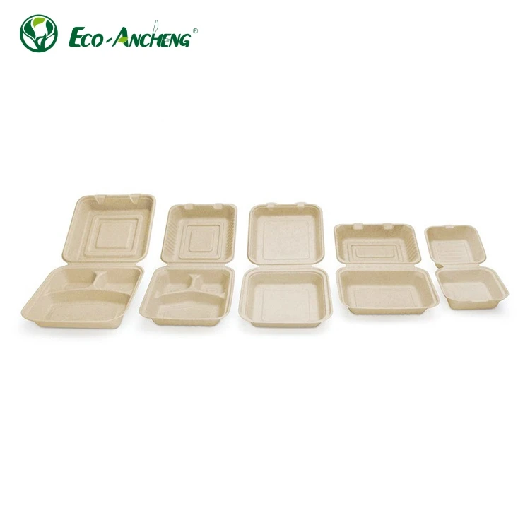 Green and Eco-friendly Compostable Sugarcane Bagasse Clamshell Box Takeaway Disposable Sugarcane Bagasse Food Container