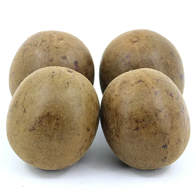 Chinese Fruit Siraitia Grosvenorii Momordica Grosvenori Monk Fruit dried Luohanguo