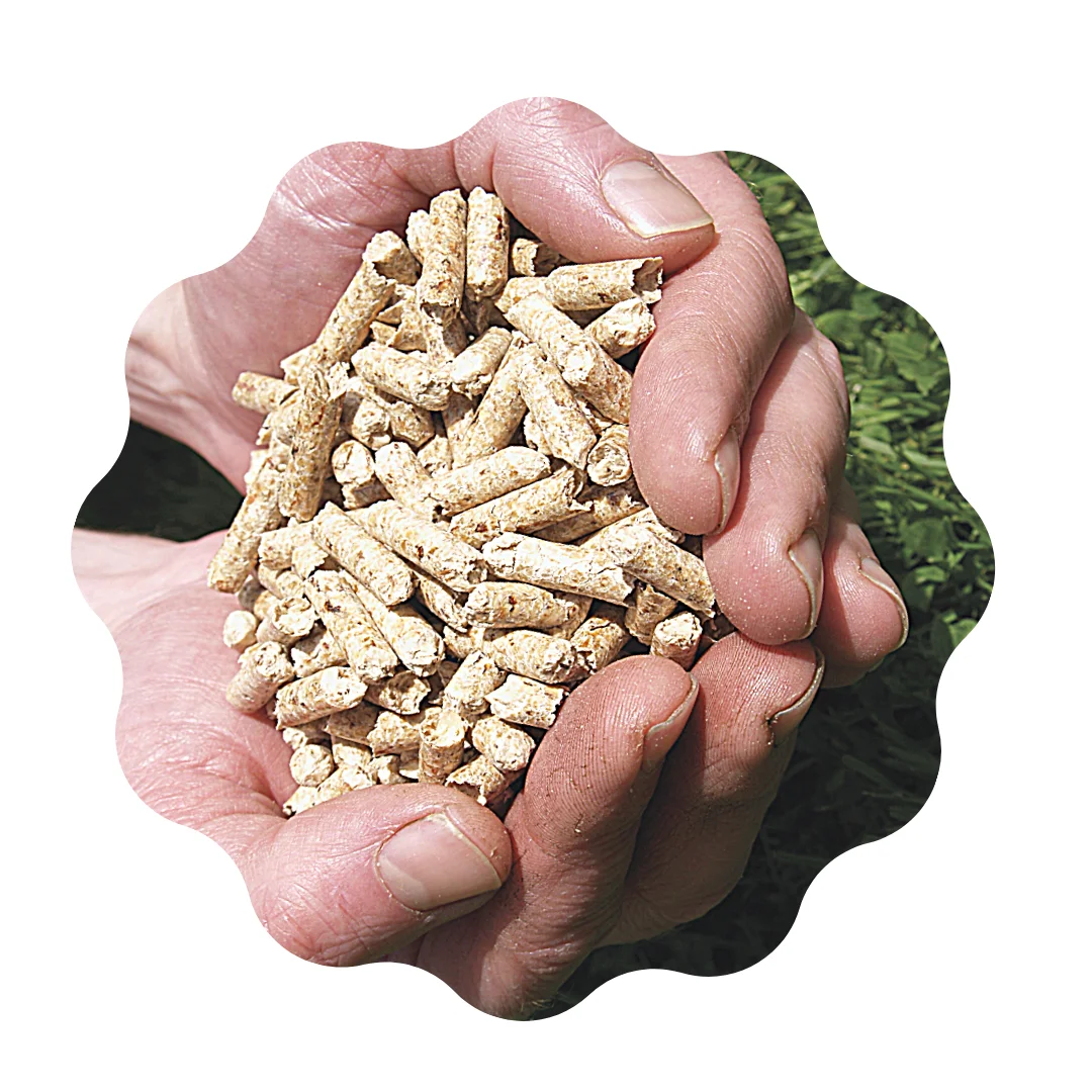 Energy saving and environmental protection Premium Pine & Fir Wood Pellets Energy Saving Best Quality Wood Pellets
