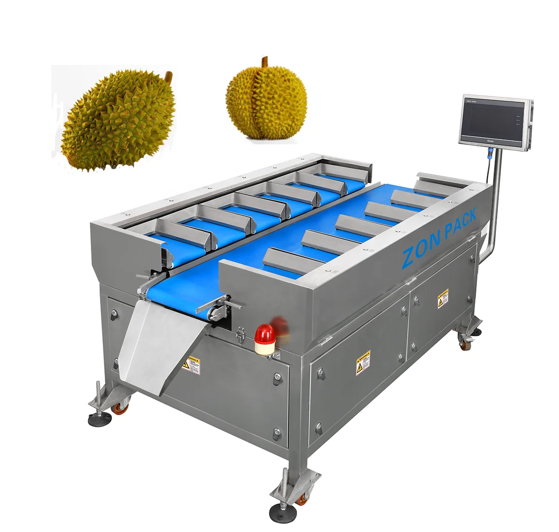 Easy to operate Manual Weighing Scales Weigher Belt for Durian Fruit Conveyor Machine