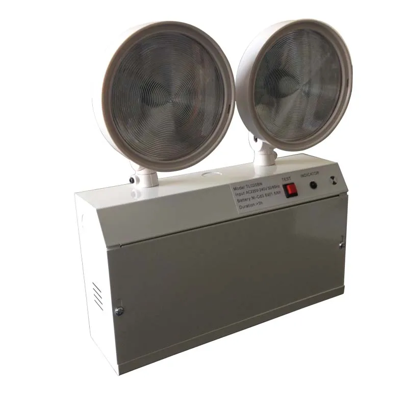 2*5pcs 2835(0.5W) SMD LED IP20 Steel Casing PS Diffuser Twin-spot Emergency Lamp 2X2.5W Rechargeable Light