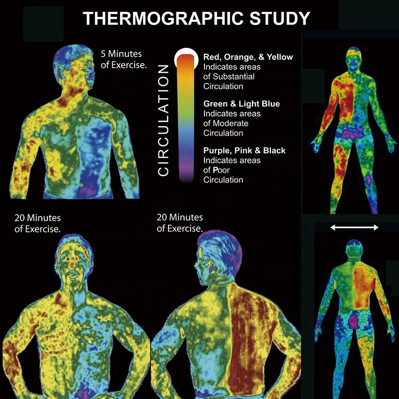 ELAIMEI Lose Weight Slimming Cream Accelerate Muscle Activity Sweat Enhancing Fat Burning Cream