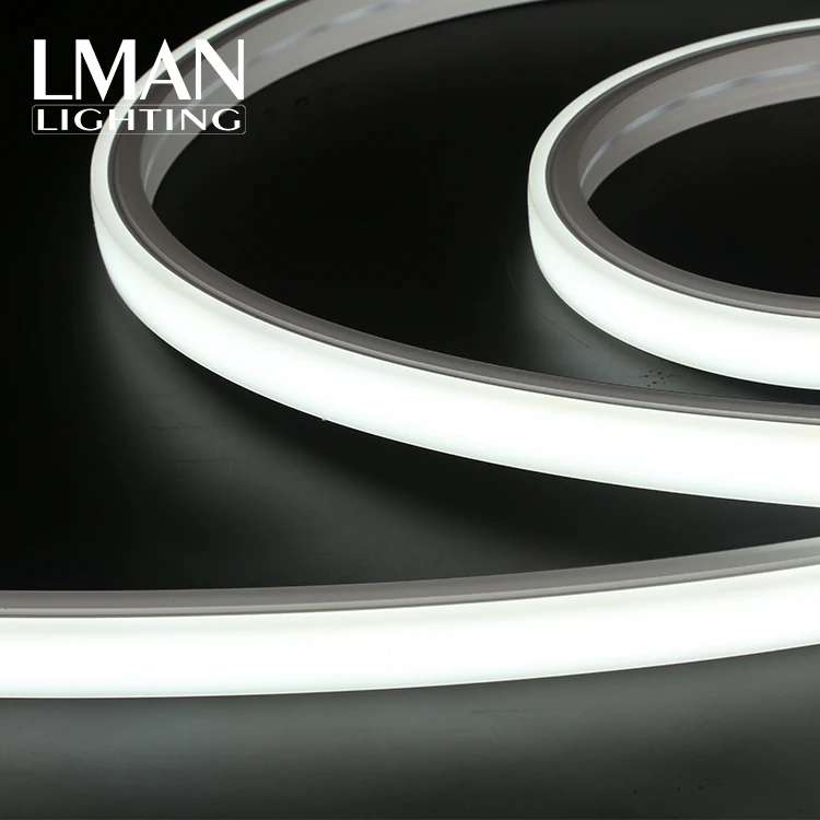 Garden Christmas Festive Decoration Ip65 20*14mm 120led/m Smd 2835 Dc 12v 24v 8w Led Neon Light