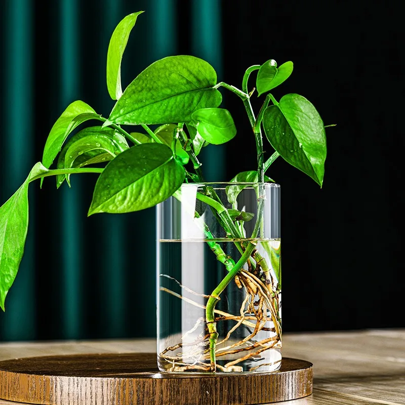 New Product 2024 Decoration Supplies Cylinder Tall Stem Holder Large Gold Glass Set Pillar High Borosilicate Candles Vases