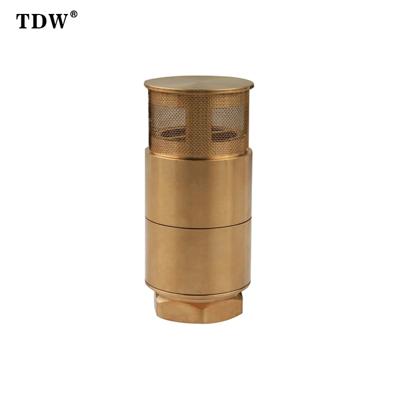TDW латунный обратный клапан для распределительной трубы топлива