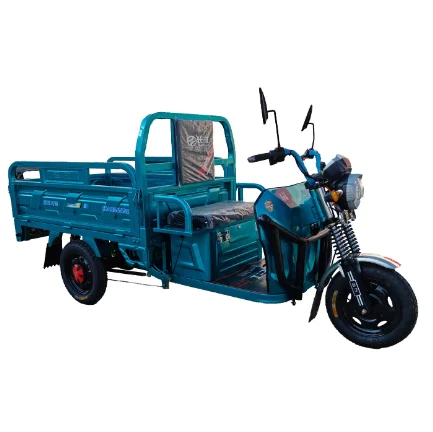 Electric Tricycle/60V/1200W Electric Cargo Tricycle/Three Wheeled Bike /Pedicab