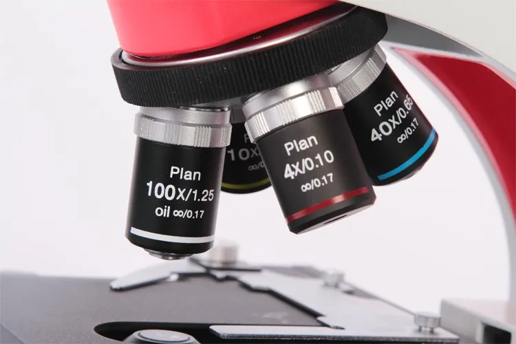 Phenix BMC500 40X-1600X Manufacturer High-end Infinity Optical Medical Academy Binocular Biological Microscope for Laboratory