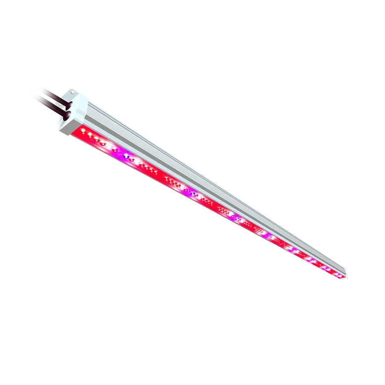 Fast Delivery Led Grow Light Full Spectrum 30 Watt For Indoor Vertical Farming