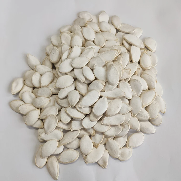 Price Online For Sale Snow White  In Shell Pumpkin Seeds