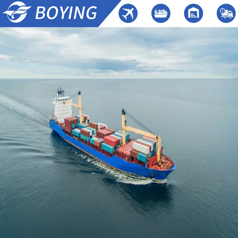 20 Years Own US Warehouse & Truck Team FBA China Shipping Agent Door to Door Service Sea Cargo Services to Canada USA Europe