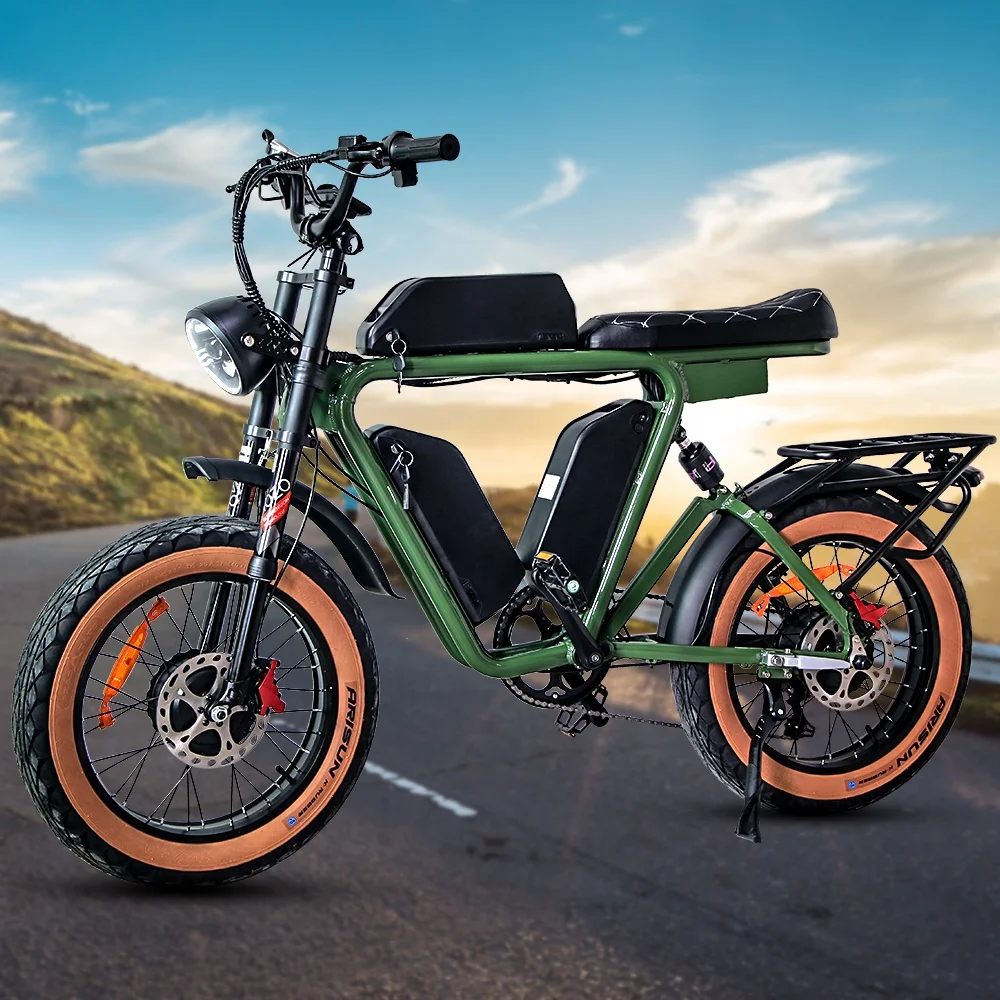 Electric Bicycle Motor Electric Fat Tire Bike 20 Wheel Size Electric Hybrid Bike 48v Electric Road Bike Dual motor Electric Bike
