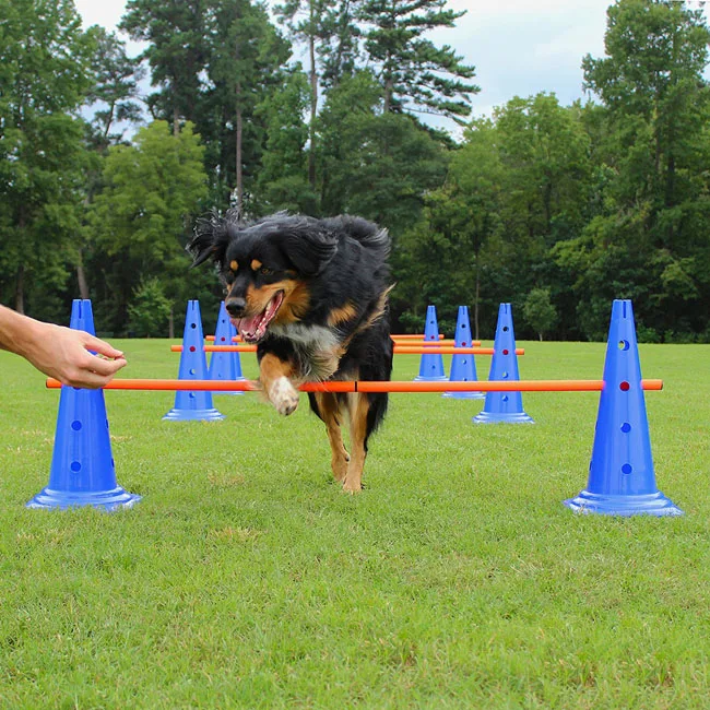 Pet Dog Agility Training Equipment Adjustable Jump Hurdle Cones Set