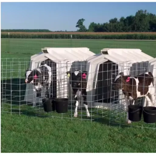 Durable outdoor plastic calf hutch with animal cages calf barn for cattle