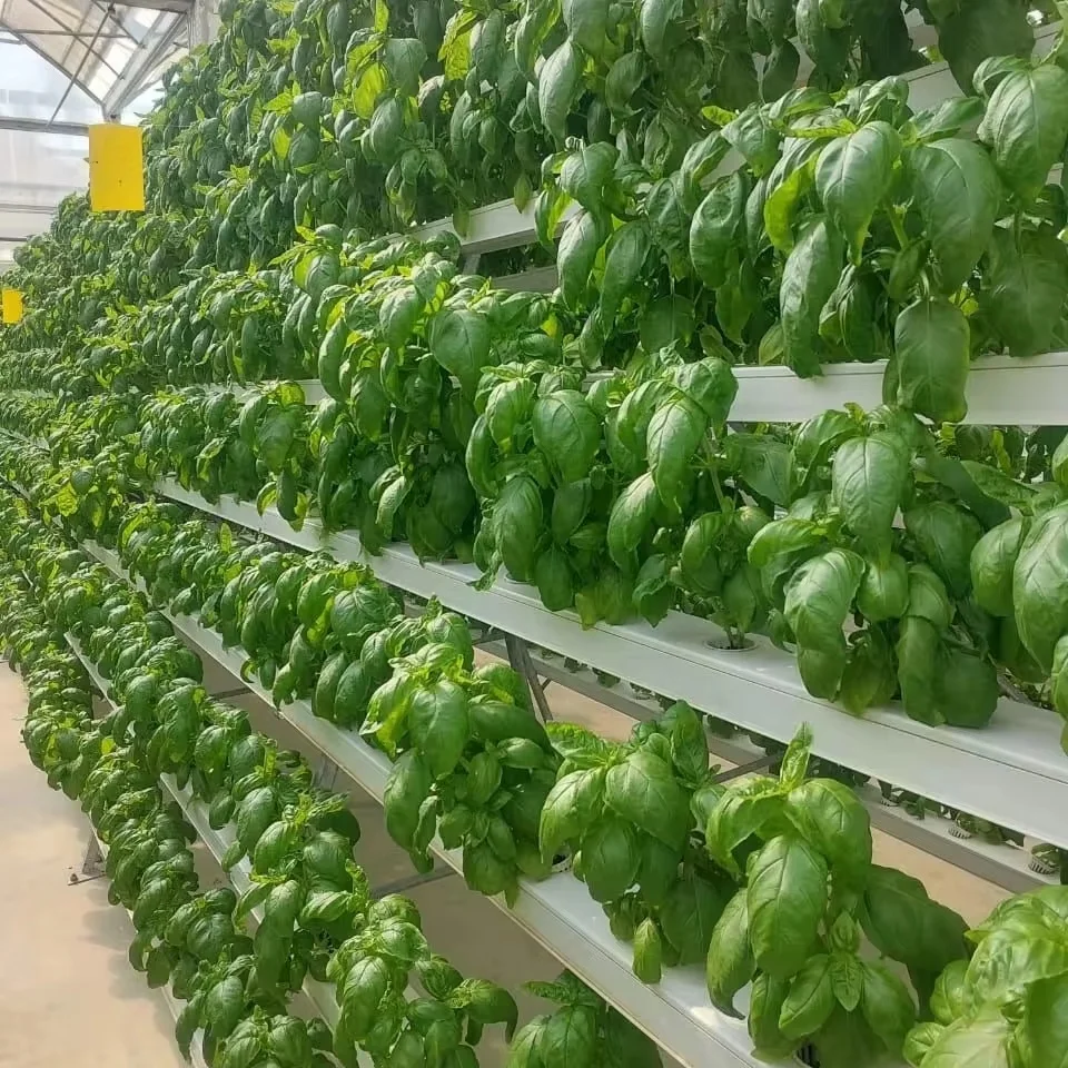 Square 100*50mm Openable PVC Trough NFT Channel Hydroponic Growing System Manufacturer
