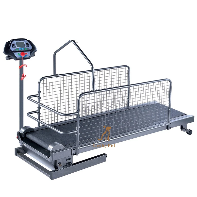 Беговая дорожка для собак