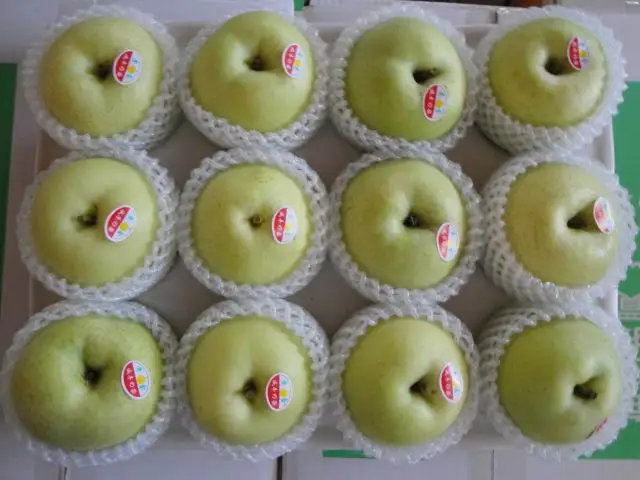 High Quality Fresh Fruit Fresh Pear New Season Milk Pears