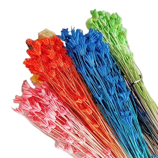 white Nigella Orientalis flowers dried Octagonal flower for home decor DIY craft home decor wedding flower arrangement