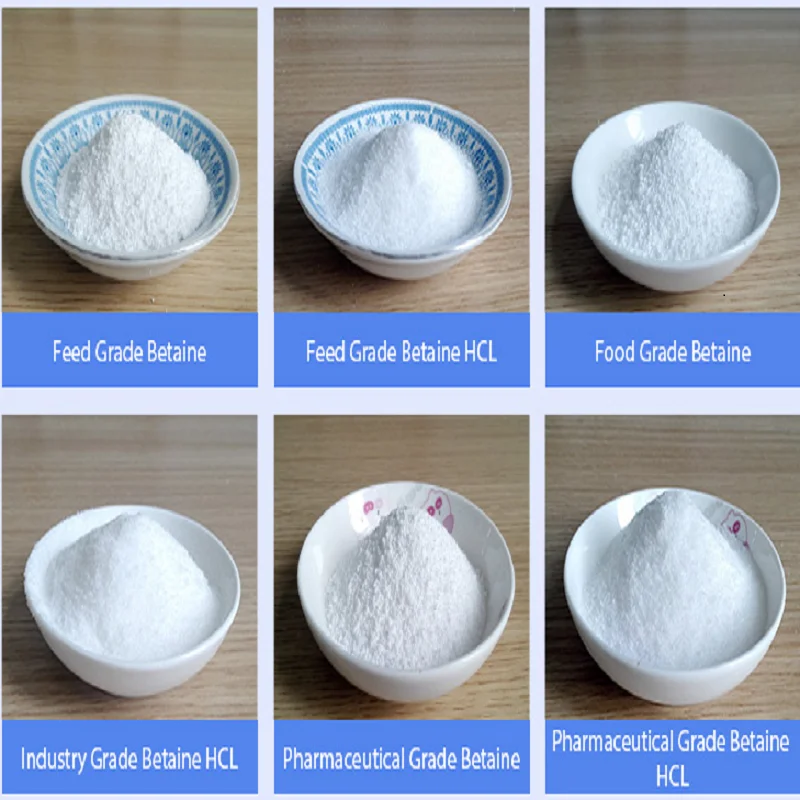 ISO Certified Food Feed Grade100%Powder Price CAS 107-43-7 Anhydrous Glycinate Betaine