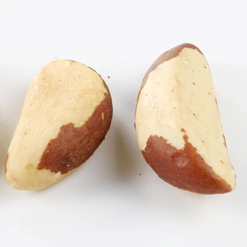 Private Label Brazil Nuts