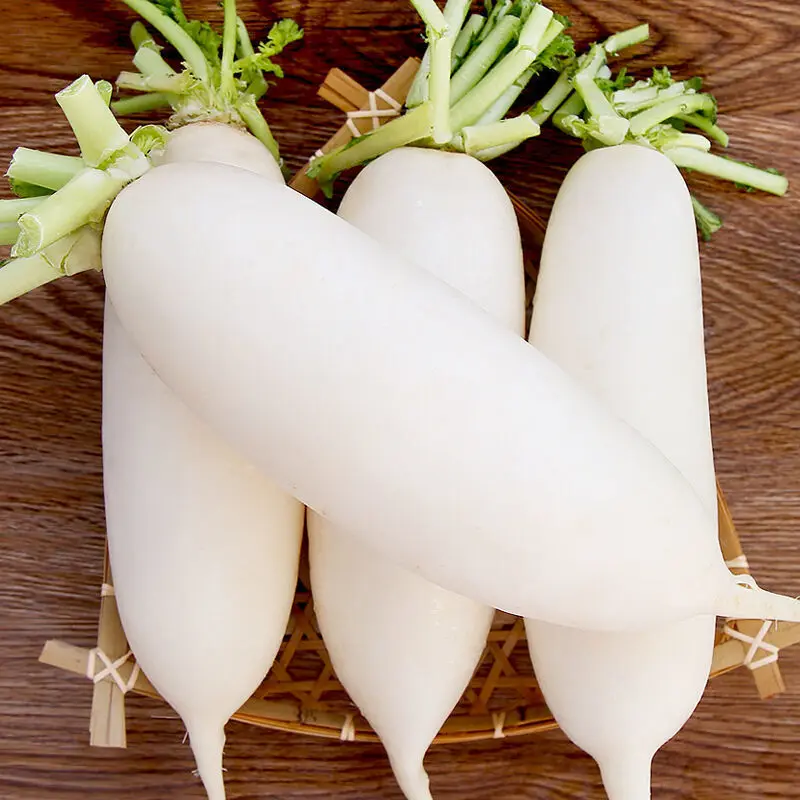 china new season fresh White radish S 500-750G M 750-1000G L 1000-1300G supplying