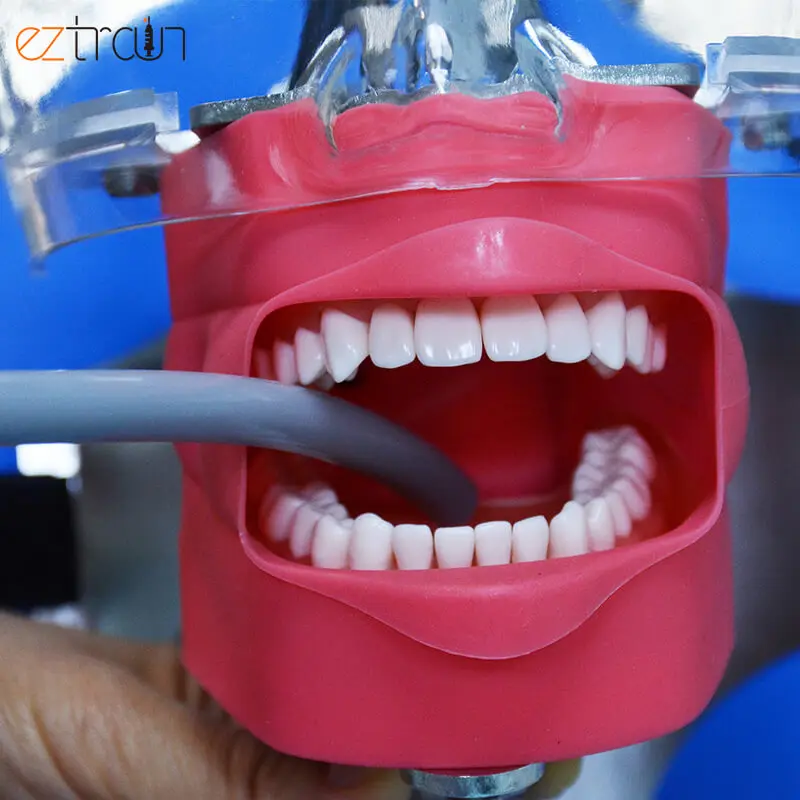 Dental Lab Strap-style Dental Chair Simulator Manikin Typodont Practice Adjustable Phantom Head