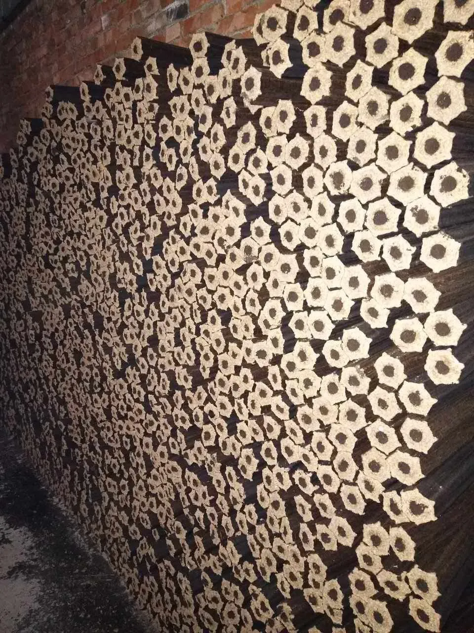 22kw biomass briquette making machine for sale