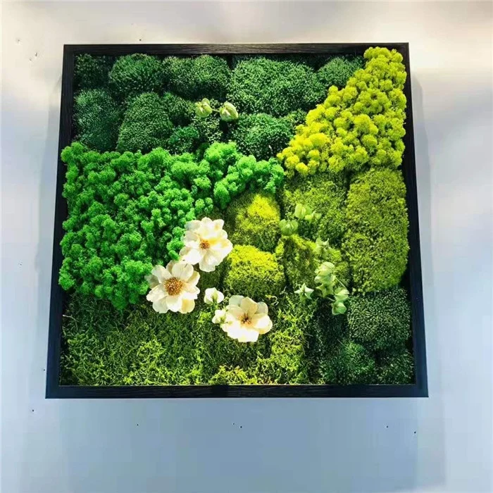 wholesale decorative green moss balls high quality natural preserved reindeer moss wall hanging frame for wall decor