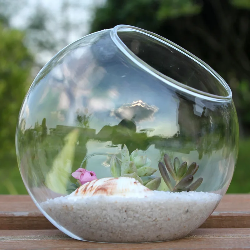 Ball Vase Flower Pots for Succulent Plant Terrarium Office Garden Decor Micro Landscape Clear Glass Modern 100% Hand Blown Glass