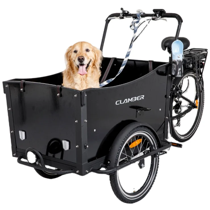 Electric cargo bike with battery  /three wheel electric bikes /PLYWOOD cargo bike electric for school bus