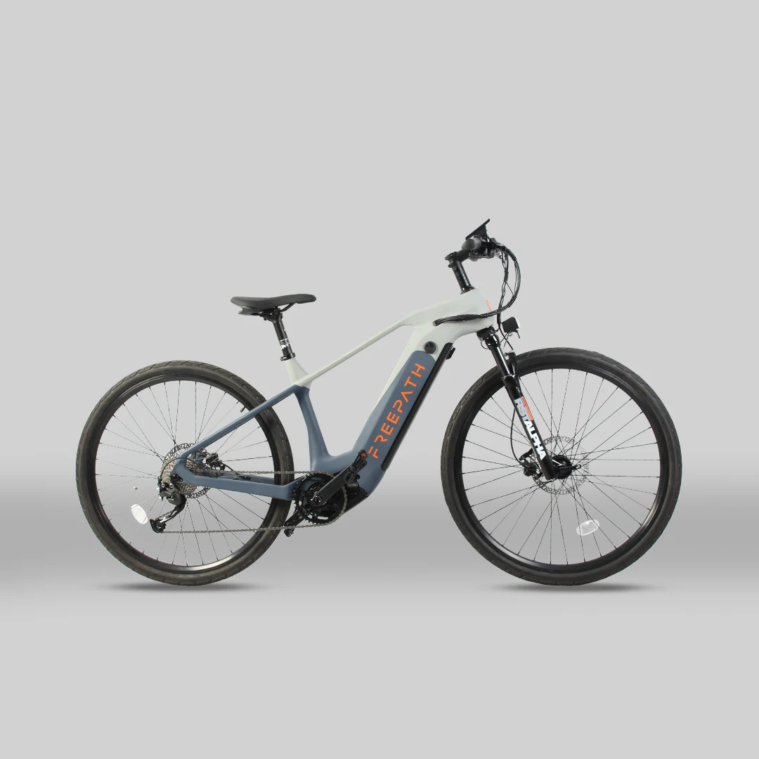 Bafang M600 500w enduro ebike full suspension 29er electric mountain bike carbon ebike with mid motor