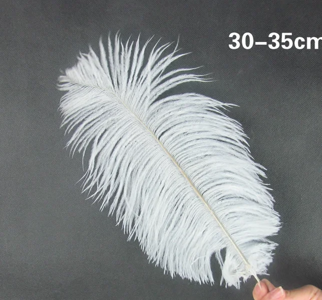 12-14 inch(30-35 cm)100 pcs Assorted colors Ostrich Feathers Plumes for Decoration