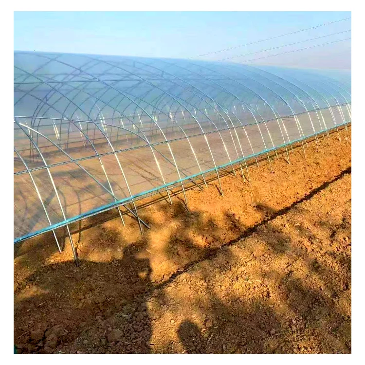 200 Micron Plastic Greenhouse Film Highly transparent PO Material UV-resistant Covering Film without Water Drop