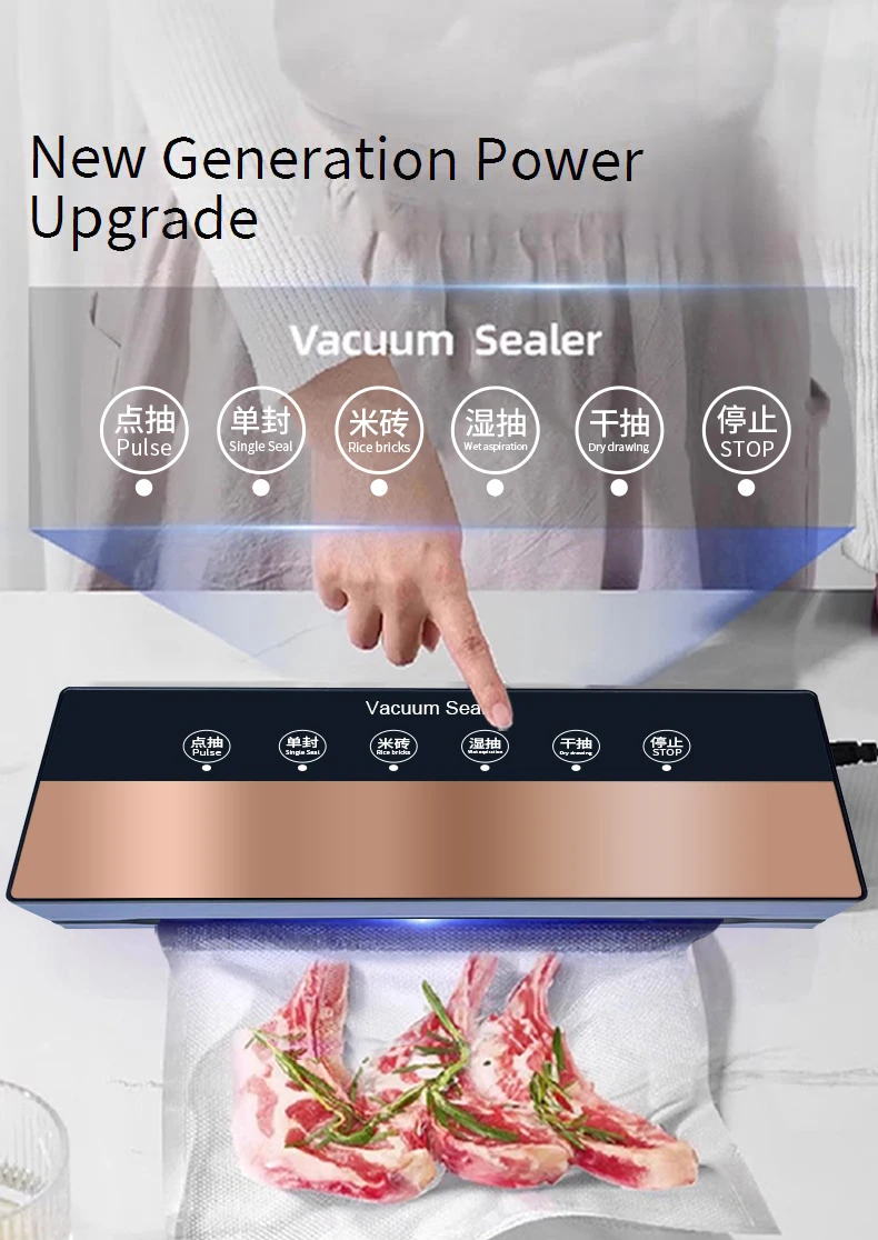 Wholesale Household Vacuum Sealer Machine with Roll Holder Built-in Cutter Pulse Function Dry Moist