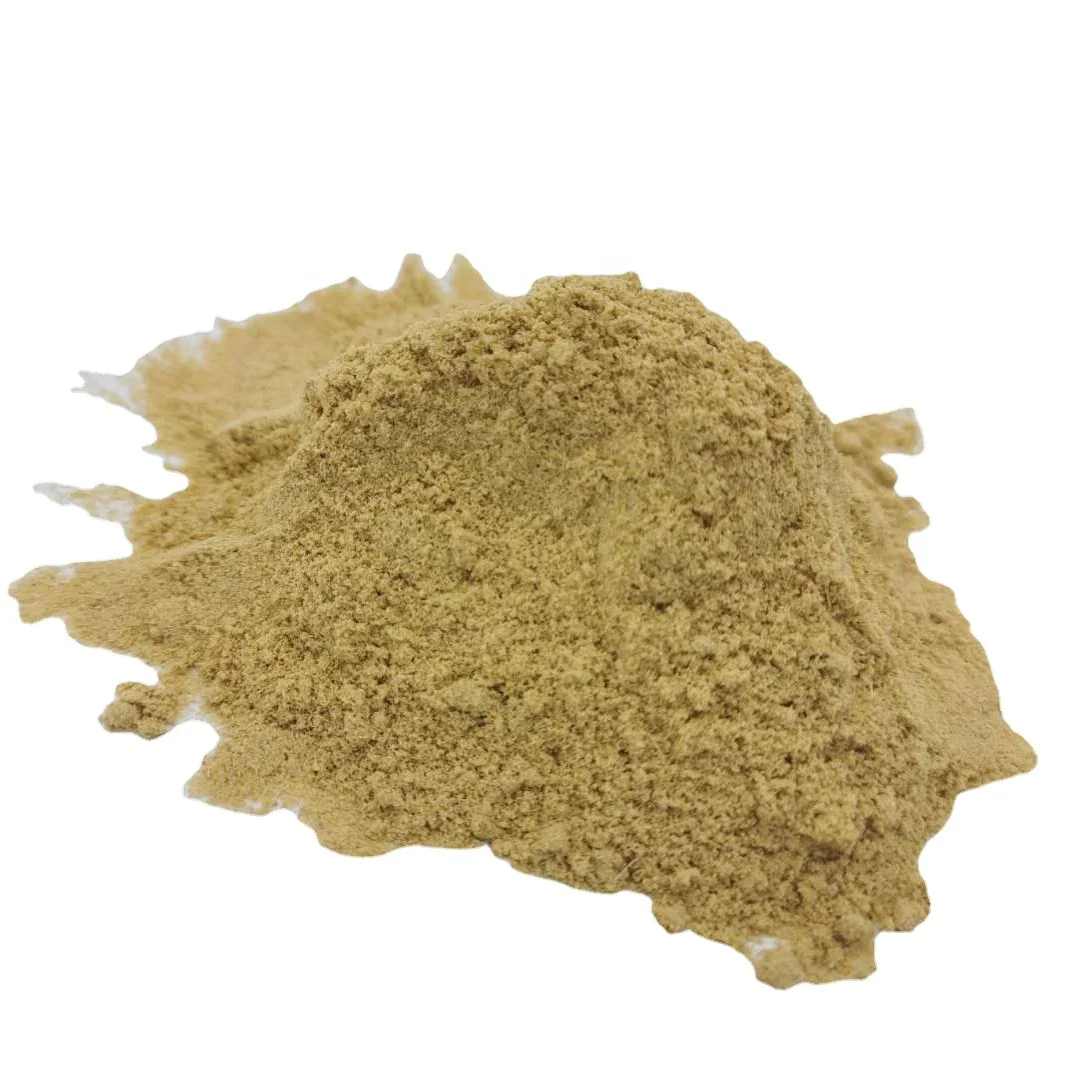 Frist Grade Dried Dehydrated Ginger Flake/Dried Ginger Powder