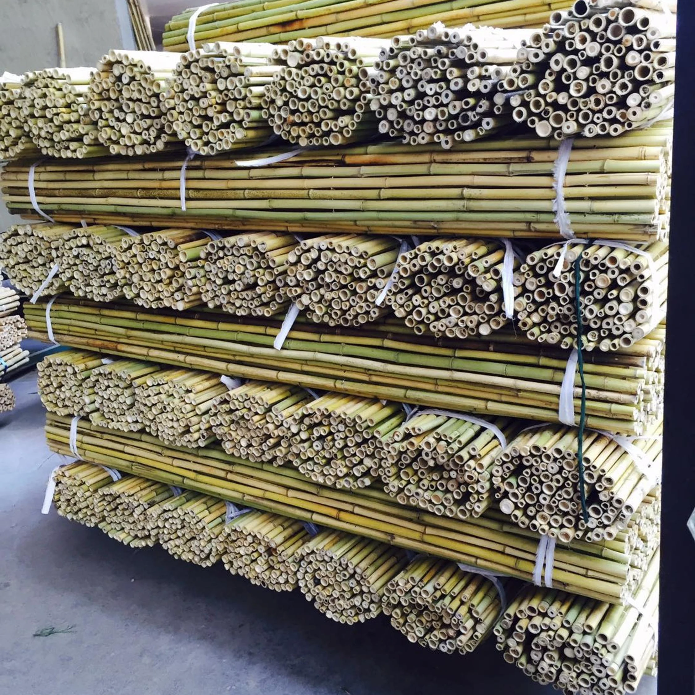 cheap raw high quality bamboo stakes