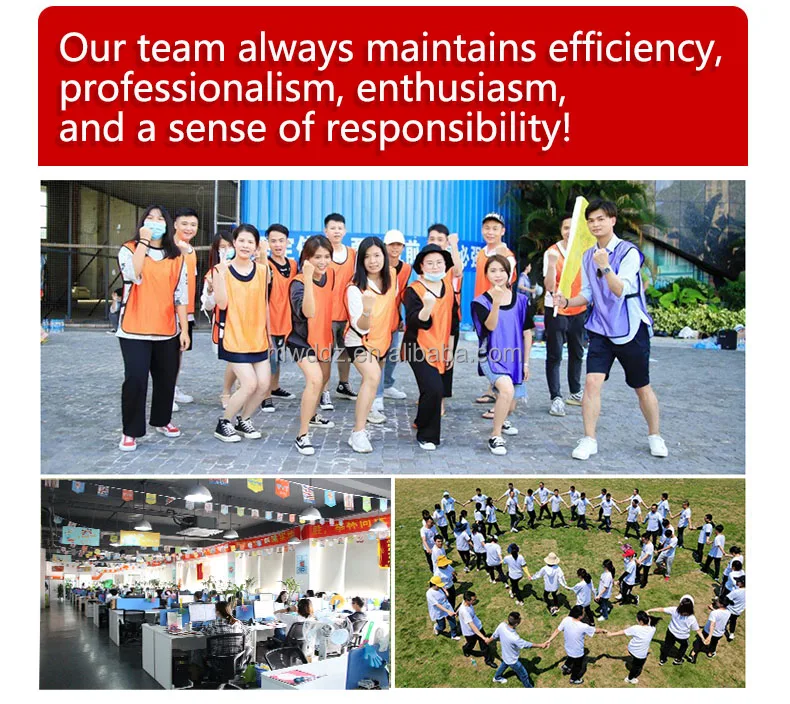 1W (3V to 33V) 250 Pcs 25 Values 1W Zener Diode Assorted kit Assortment Set New