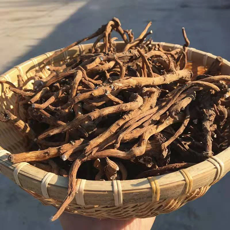 Healthcare Supplement  Dandelion Root Raw Chinese Herbs Food Grade Dried Dandelion Roots Tea Cut