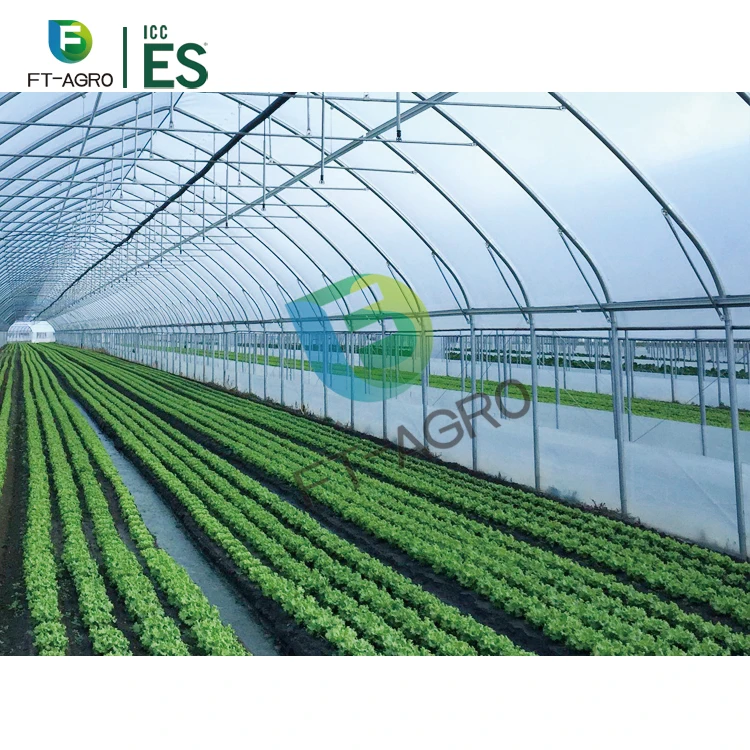Very Cheap PO Film Single Span Greenhouse For Agriculture Easy Installation