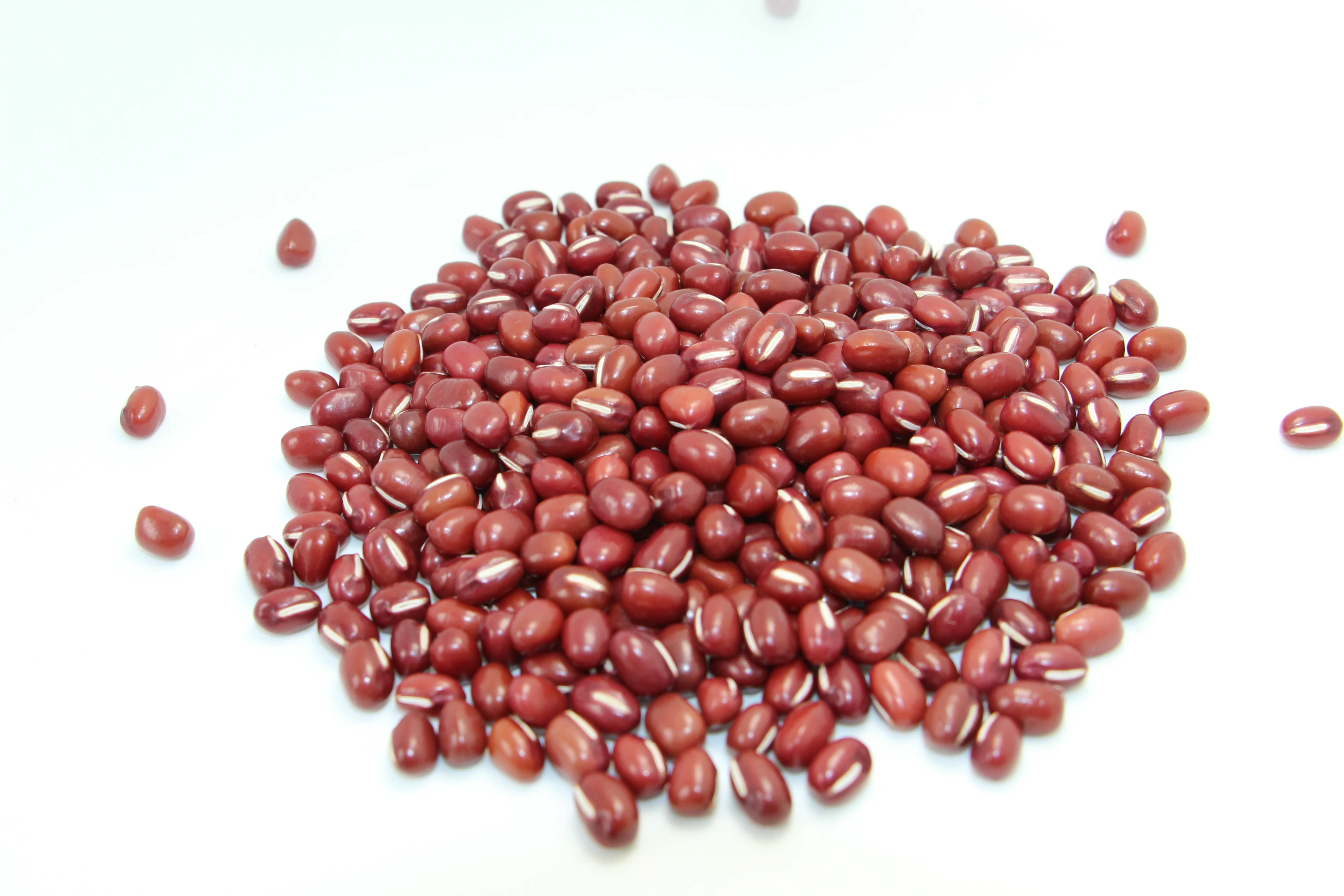 Organic adzuki bean  Organic small red bean Organic azuki bean
