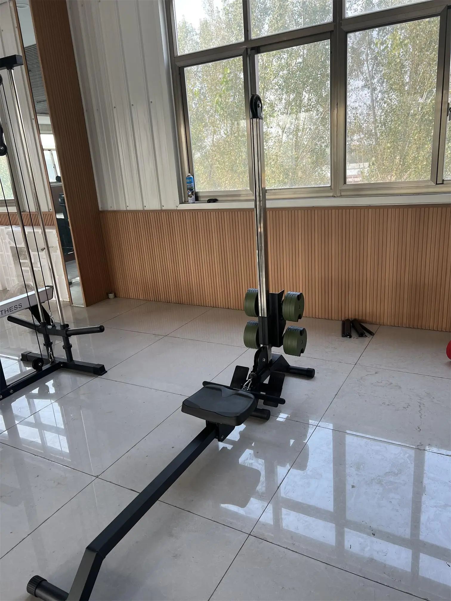 New Design Gym Equipment Fitnesss Dumbbells Rowing Machine for Home Exercise