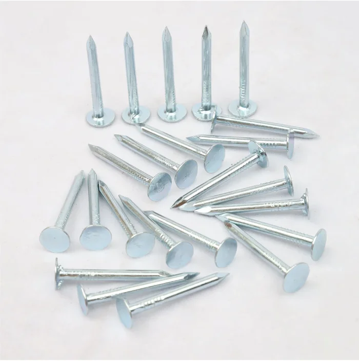 1 1/4' x 0.120' Steel Golden Building Construction Galvanized Clout Nail For Canadian & American Market