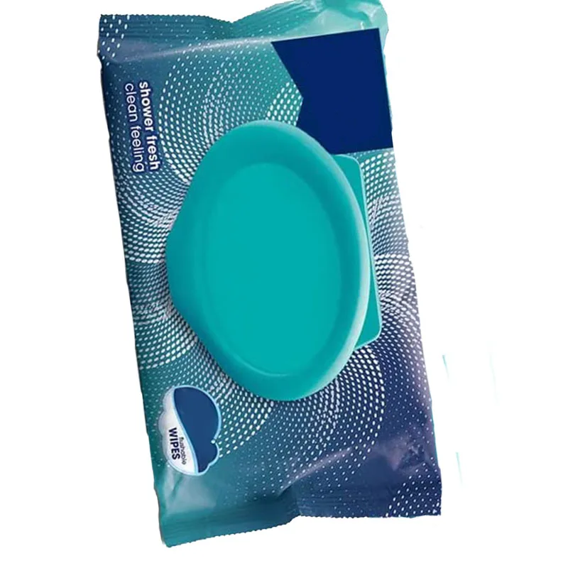 Wholesale New Daily Disposable Cleaning Flip Cover Wipes Clean Room Wipes With Logo