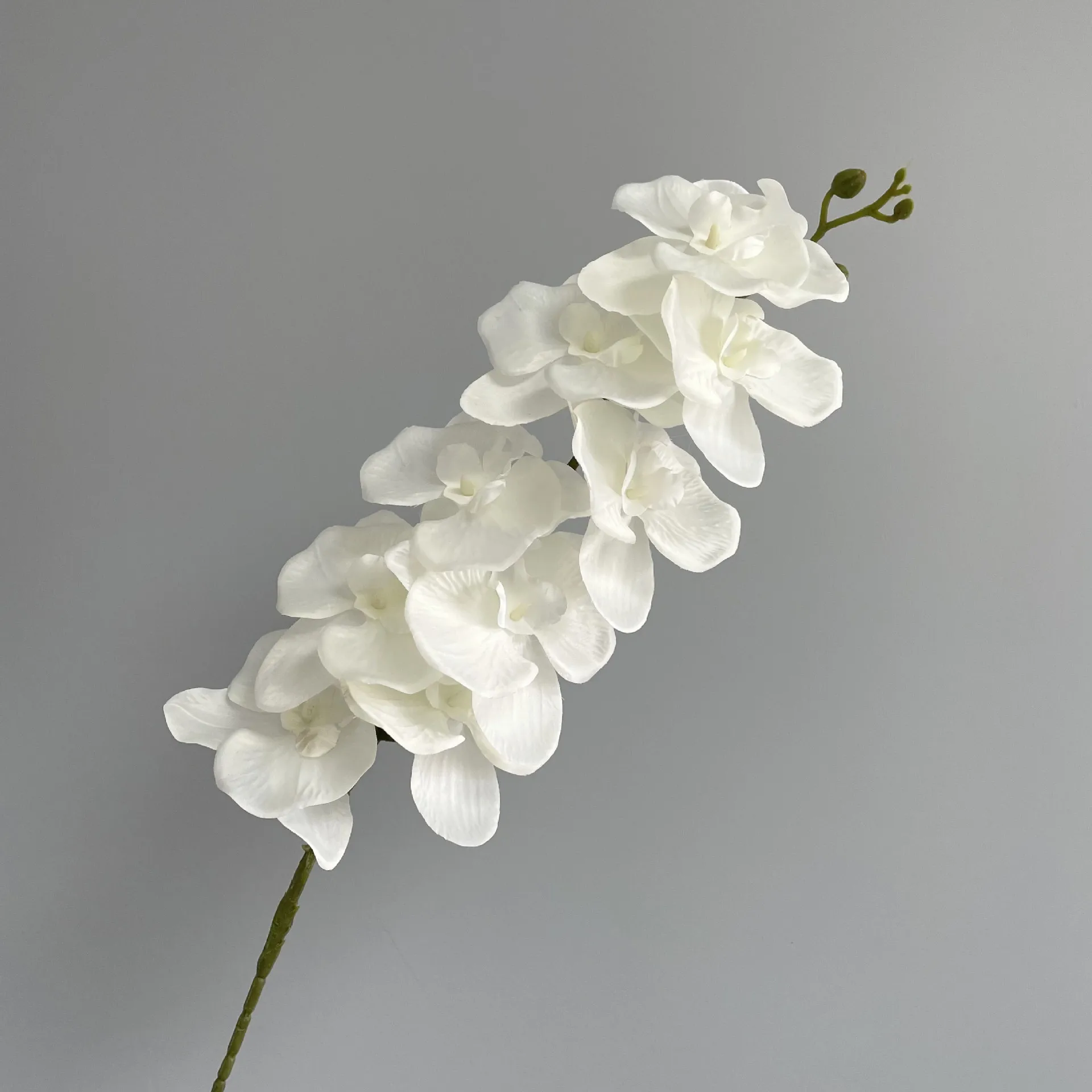 Factory Hot Sale Artificial Orchids High Quality Phalaenopsi Phalaenopsis Simulation Flower Phalaenopsis