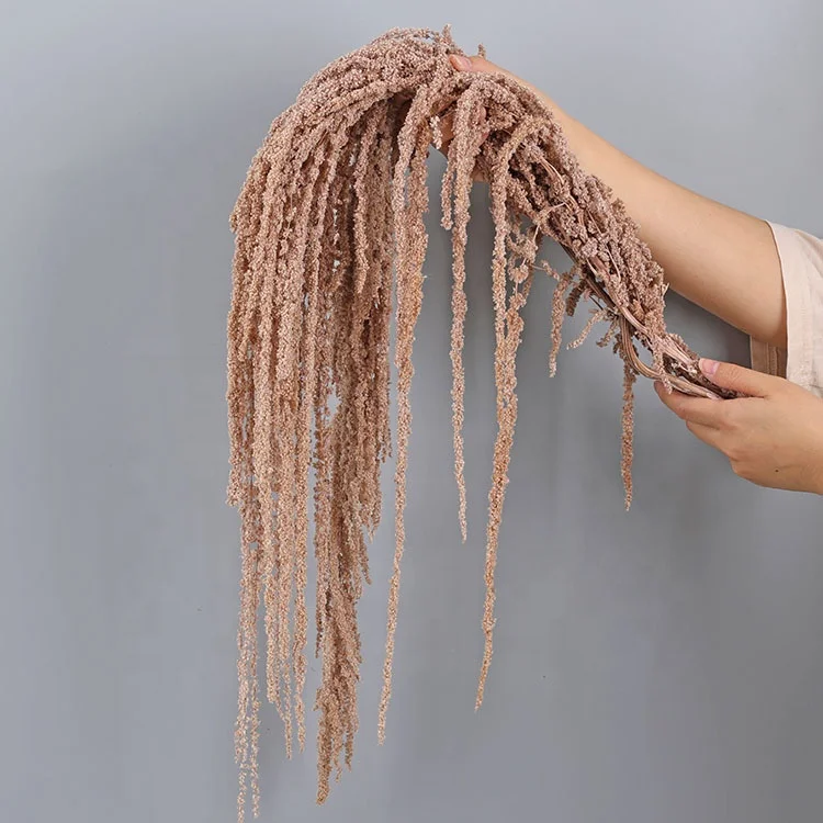 Hanging Rice Wholesale Lover Tears Roulisi Hanging Rice Long Spike For Wedding Hotel Decoration